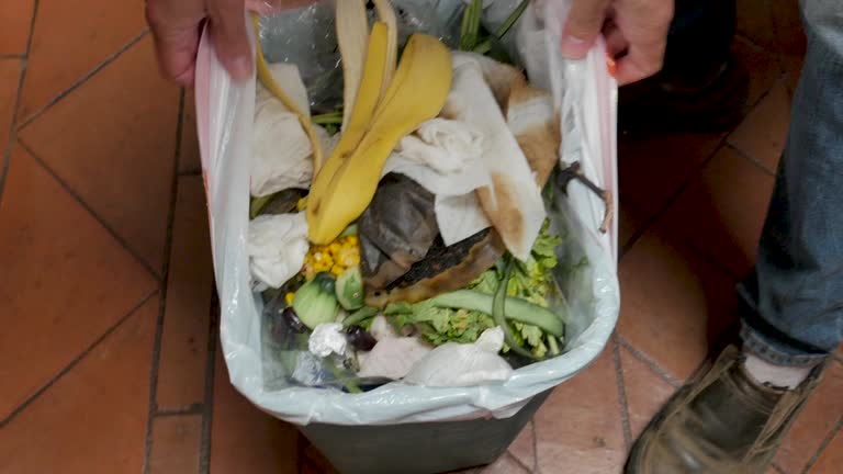 Best Same-Day Junk Removal Services  in Edgerton, MN